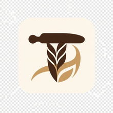 Jaderidge Studio logo